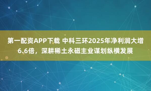 第一配资APP下载 中科三环2025年净利润大增6.6倍，深耕稀土永磁主业谋划纵横发展