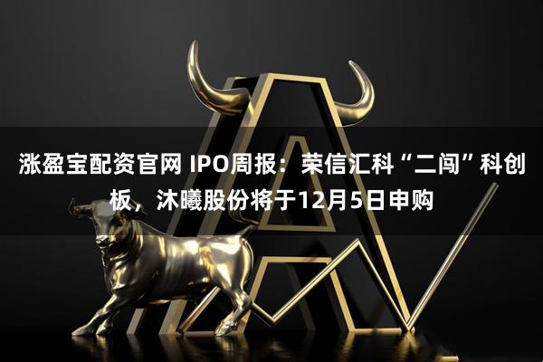涨盈宝配资官网 IPO周报：荣信汇科“二闯”科创板，沐曦股份将于12月5日申购