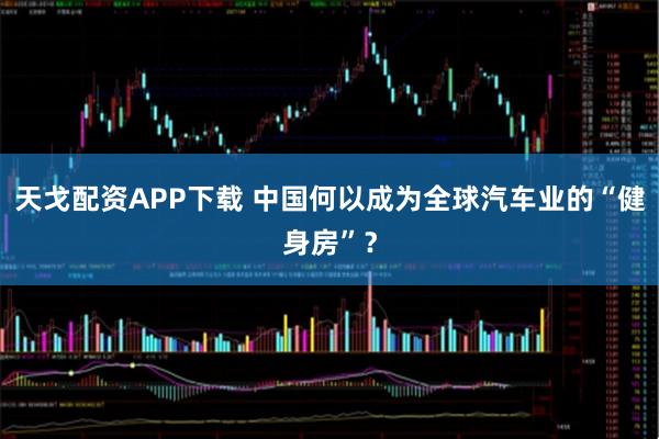 天戈配资APP下载 中国何以成为全球汽车业的“健身房”？