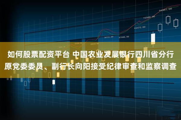 如何股票配资平台 中国农业发展银行四川省分行原党委委员、副行长向阳接受纪律审查和监察调查
